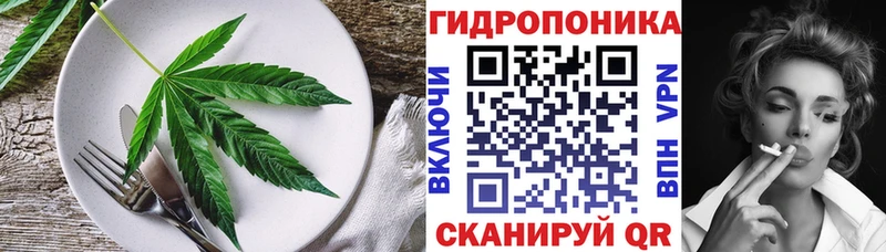 Купить закладки  Менделеевск  Cannafood конопля 