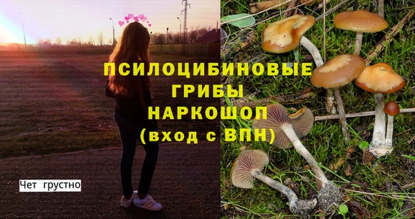MESCALINE Дмитровск