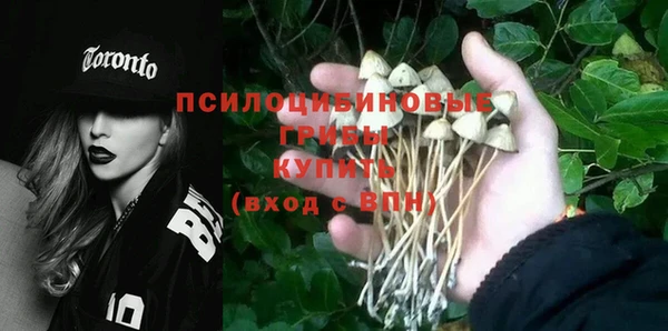 эйфоретик Дмитров