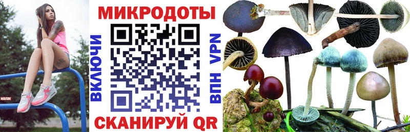 Купить где  Менделеевск  Галлюциногенные грибы мицелий 
